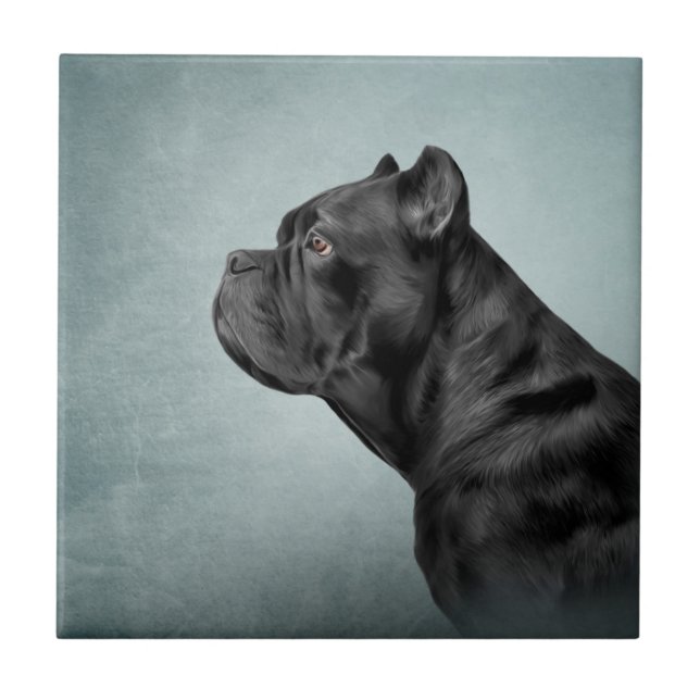 Drawing dog Cane Corso - Italian Mastiff Tile (Front)