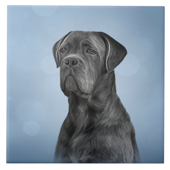 Drawing dog Cane Corso - Italian Mastiff Tile (Front)