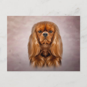Drawing Dog Cavalier King Charles Spaniel Postcard