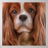 Drawing Dog Cavalier King Charles Spaniel