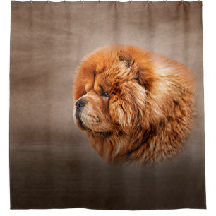 Drawing dog chow chow shower curtain