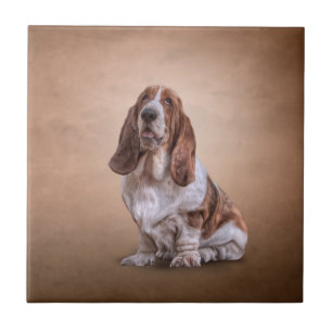 Drawing funny Basset Hound dog Tile