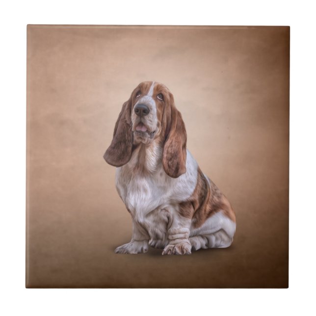 Drawing funny Basset Hound dog Tile (Front)
