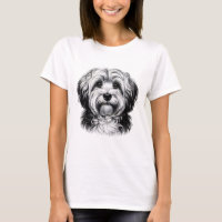Drawing Havanese Dog
