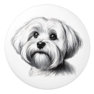 Drawing Maltese Dog Ceramic Knob