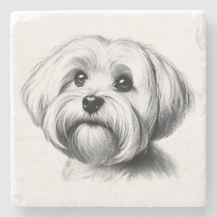 Drawing Maltese Dog Stone Coaster