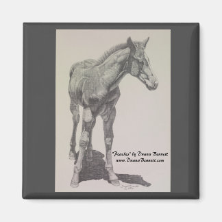 Drawing of a colt named "Peaches" on a magnet