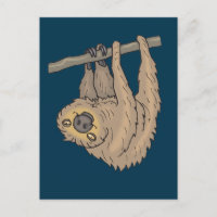 Drawing of a Sloth hanging upside down