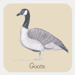 Drawing of Goose Standing Text Template CherylsArt Square Sticker