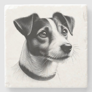 Drawing of Jack Russell Terrier Stone Coaster