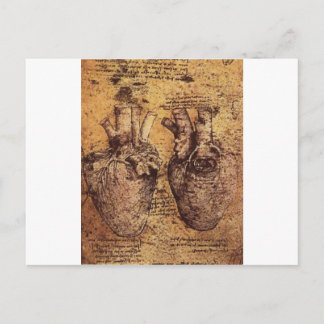 Drawing of the heart and its blood vessels postcard