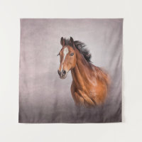 Drawing portrait horse