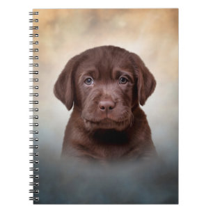 Drawing puppy Labrador Notebook