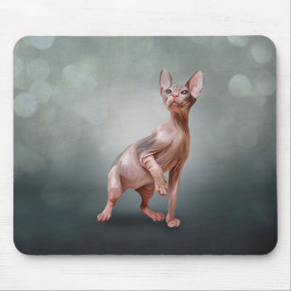 Drawing Sphynx kitten Mouse Pad