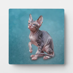 Drawing Sphynx kitten Plaque