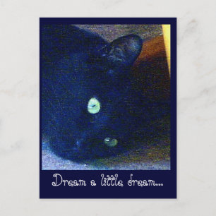 Dream a little dream postcard