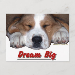 Dream Big Dog Postcard