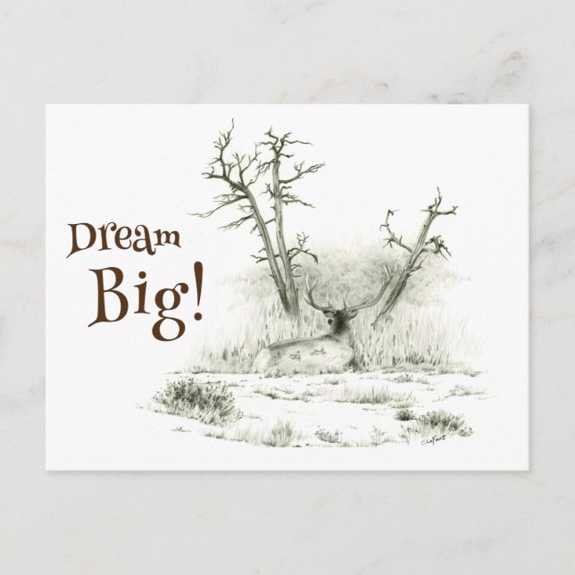 Dream Big Elk Postcrossing Postcard (Front)