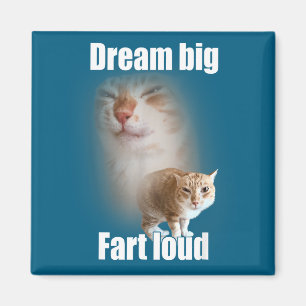 Dream Big Fart Loud Cat Meme Funny Saying Magnet