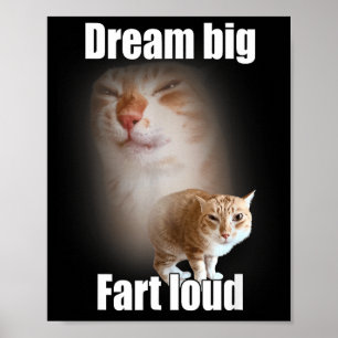 Dream Big Fart Loud Cat Meme Funny Saying Poster