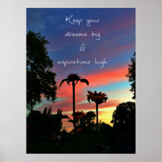 Dream big poster