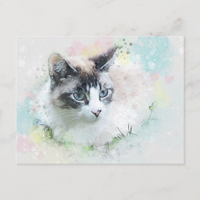 dream cat postcard (Front)