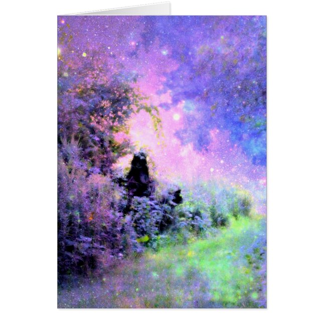 Dream Garden Light (Front)