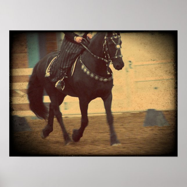 Dream Horse Friesian Dressage Poster (Front)