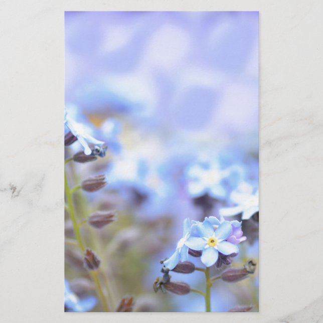 Dream in Blue Stationery (Front)