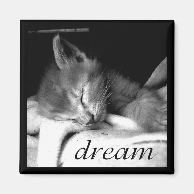 Dream Kitten - Magnet (Front)