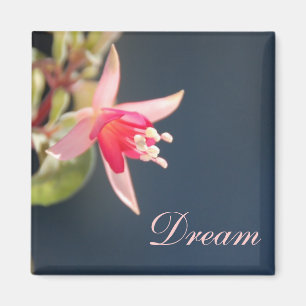 Dream Magnet