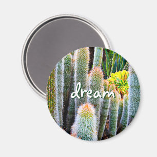 “Dream” orange-tipped fuzzy green cactus photo Magnet
