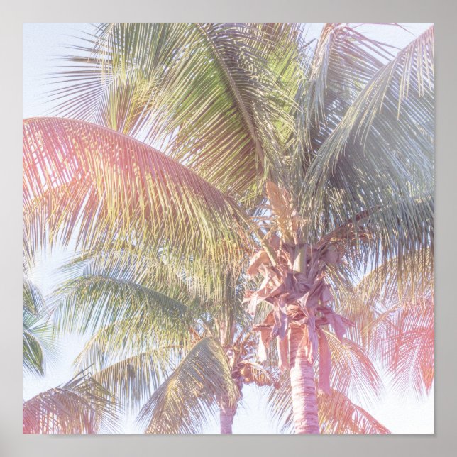 Dream Palm Tree Poster (Front)