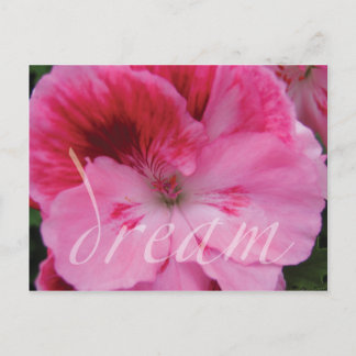 Dream Pink Geranium Flower postcard