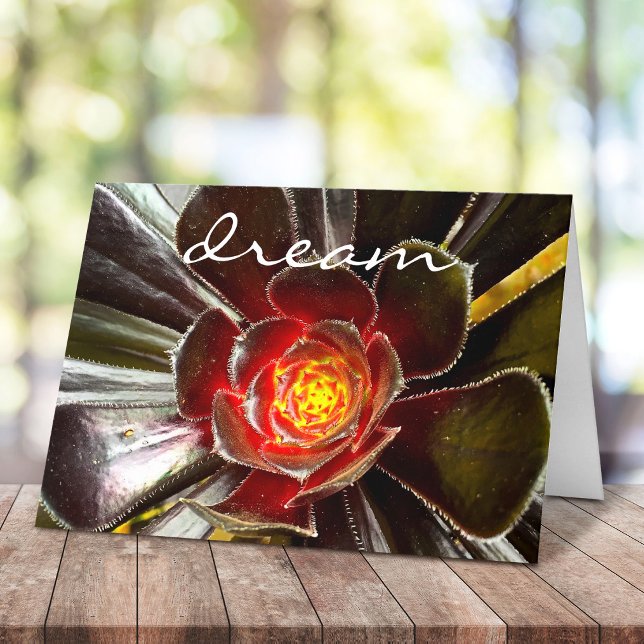 “Dream” quote orange and black cactus blank inside Card (Creator Uploaded)