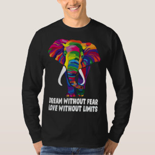 Dream Without Fear Love Without Limits  LGBT Pride T-Shirt