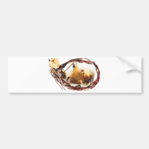 Dreamcatcher Bumper Sticker