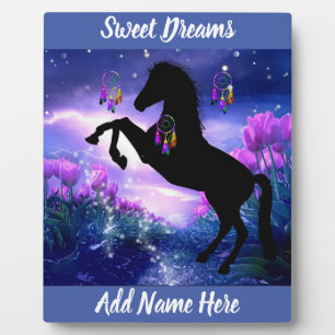 Dreamcatcher Plaque