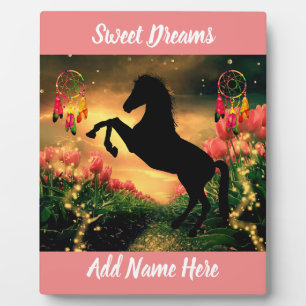 Dreamcatcher Plaque