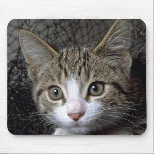 Dreamer Mouse Pad