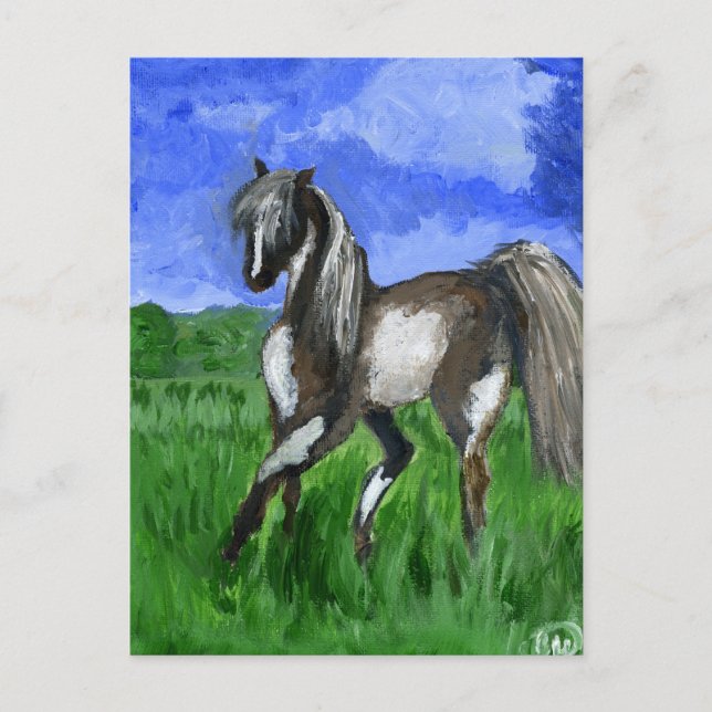 Dreamer pinto horse art postcard (Front)