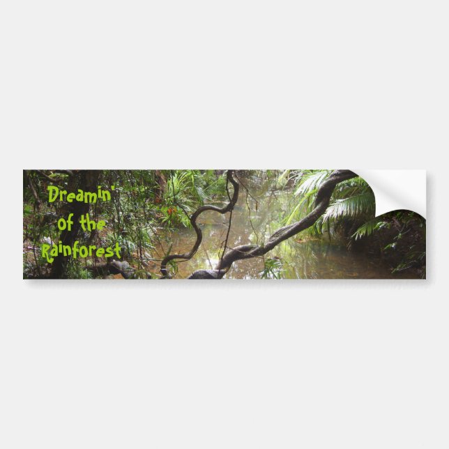Dreamin' of  the Rainforest Bumper Sticker (Front)