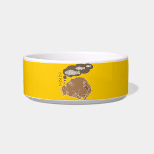 Dreaming cat bowl