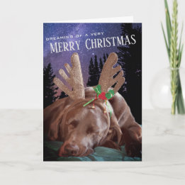 Dreaming Chocolate Lab With Antlers Photograph Holiday Card