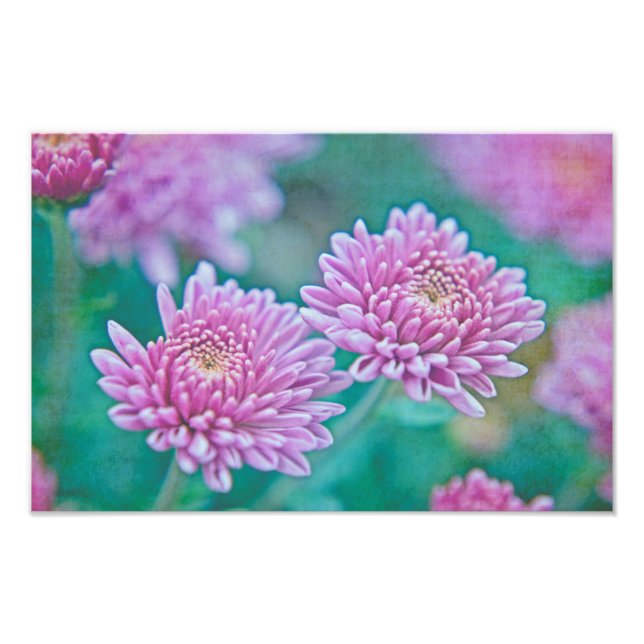 Dreaming in Mums Photo Print (Front)