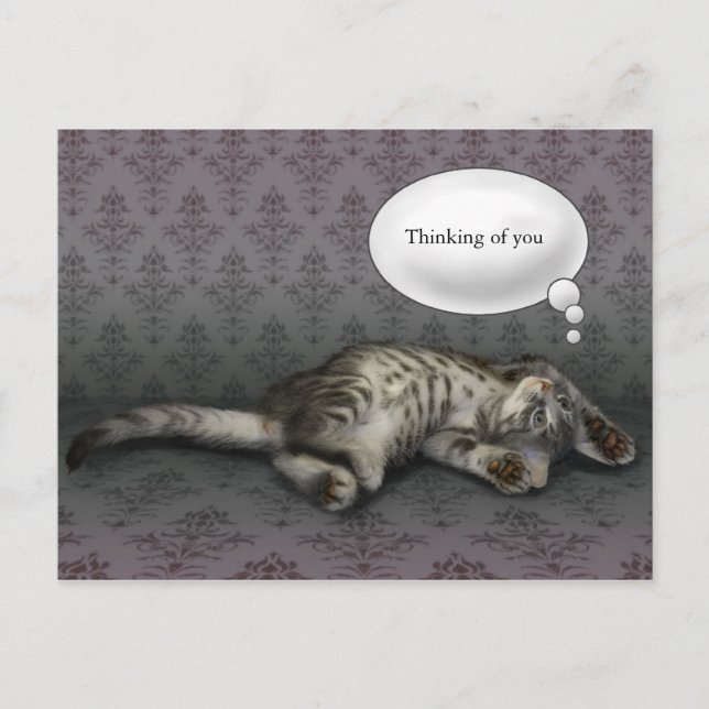 Dreaming kitty, customisable text card (Front)