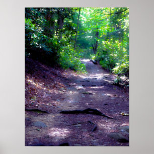 Dreaming of a Hiking Trail Poster
