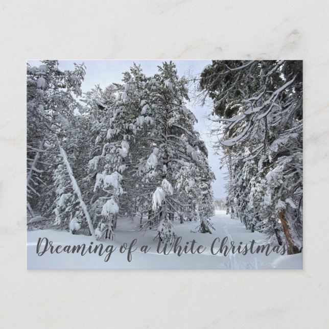 Dreaming of a White Christmas Postcard (Front)