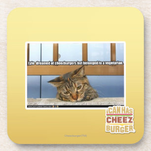 Dreaming of Cheesburgers Coaster