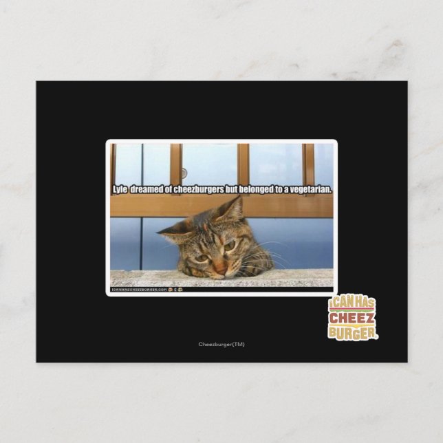 Dreaming of Cheesburgers Postcard (Front)